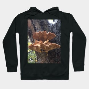 Bracket Fungus Hoodie